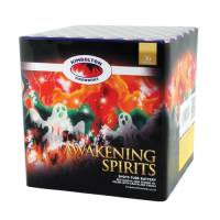 Awakening Spirits