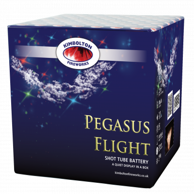 Pegasus Flight